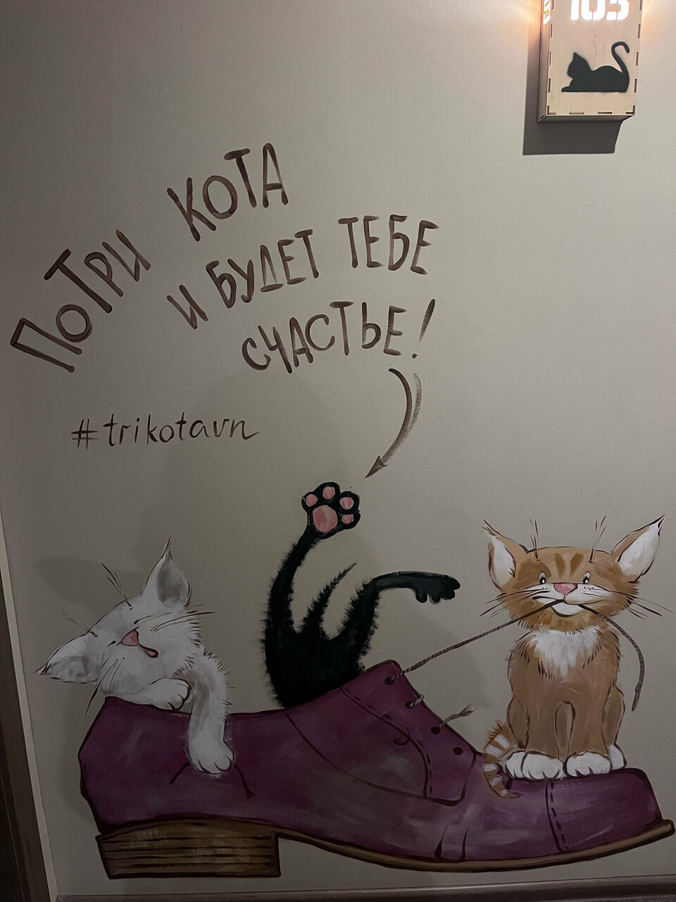 Гостевой дом Три кота Великий Новгород-202