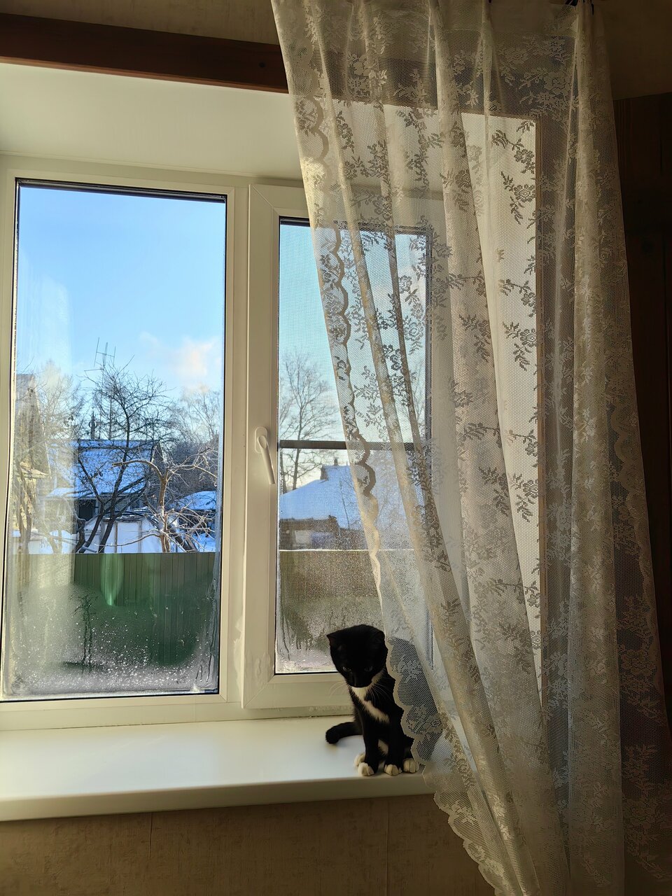 Гостевой дом Три кота Великий Новгород-247