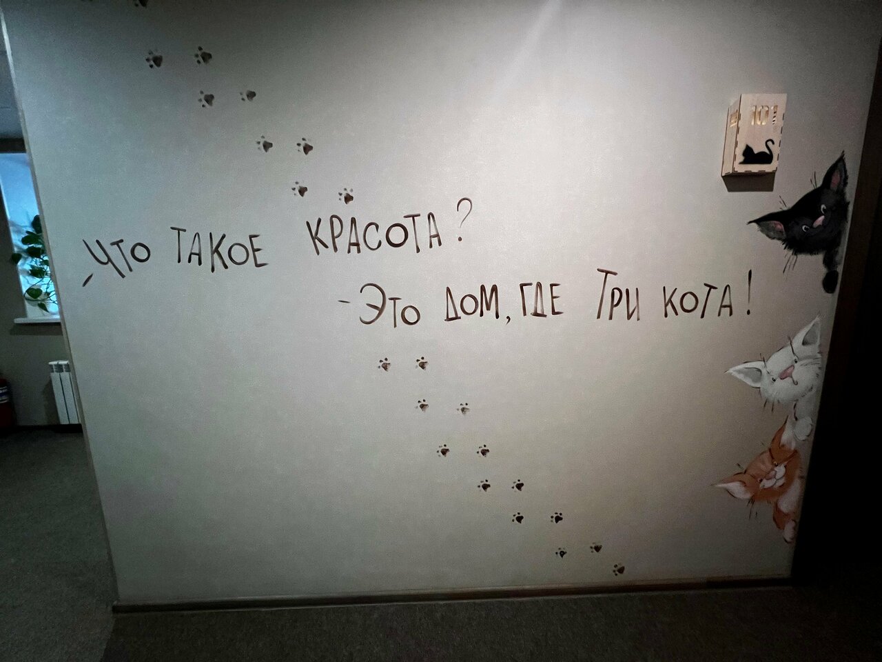 Гостевой дом Три кота Великий Новгород-116