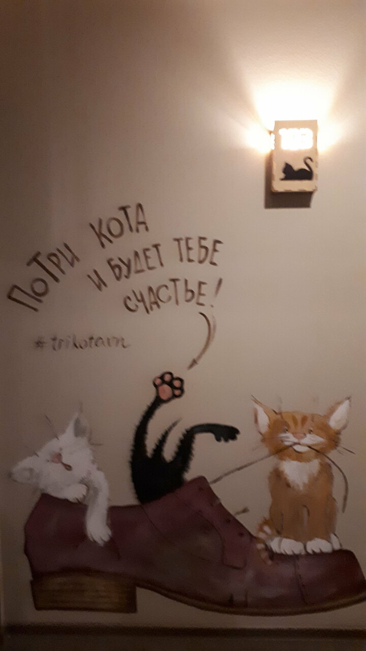 Гостевой дом Три кота Великий Новгород-251