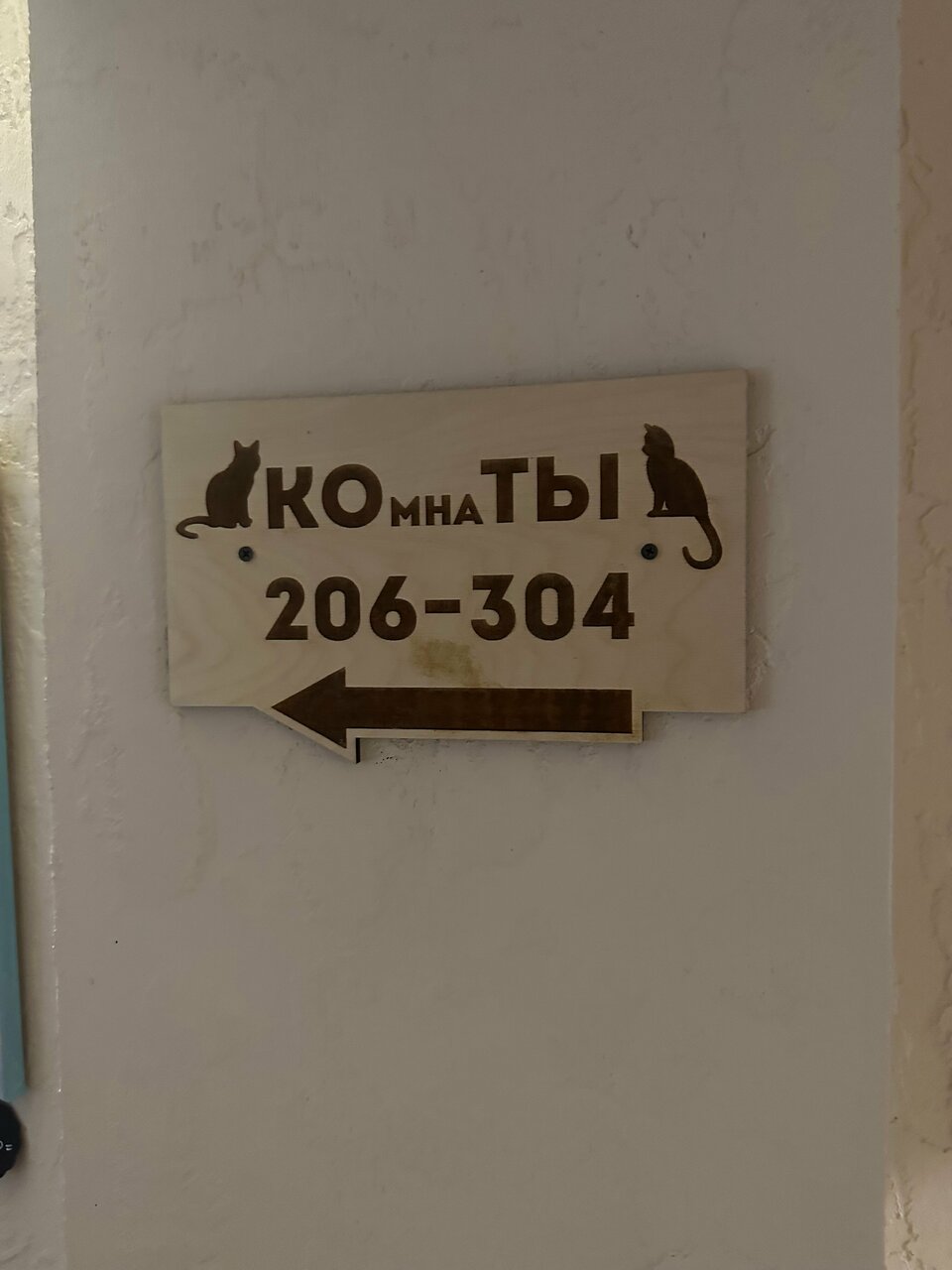 Гостевой дом Три кота Великий Новгород-208