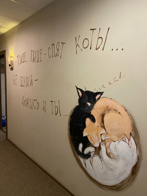 Гостевой дом Три кота Великий Новгород-188