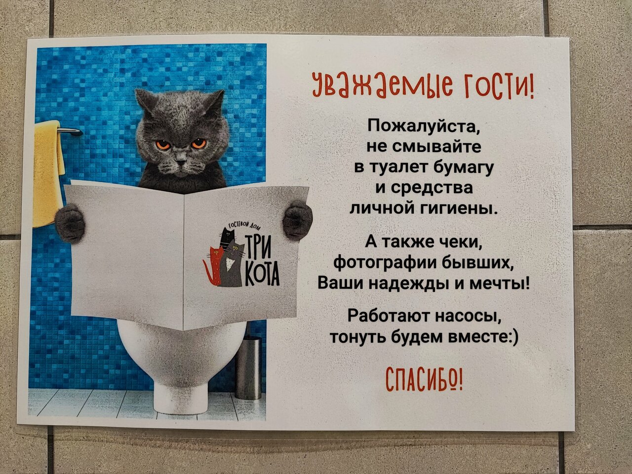 Гостевой дом Три кота Великий Новгород-98