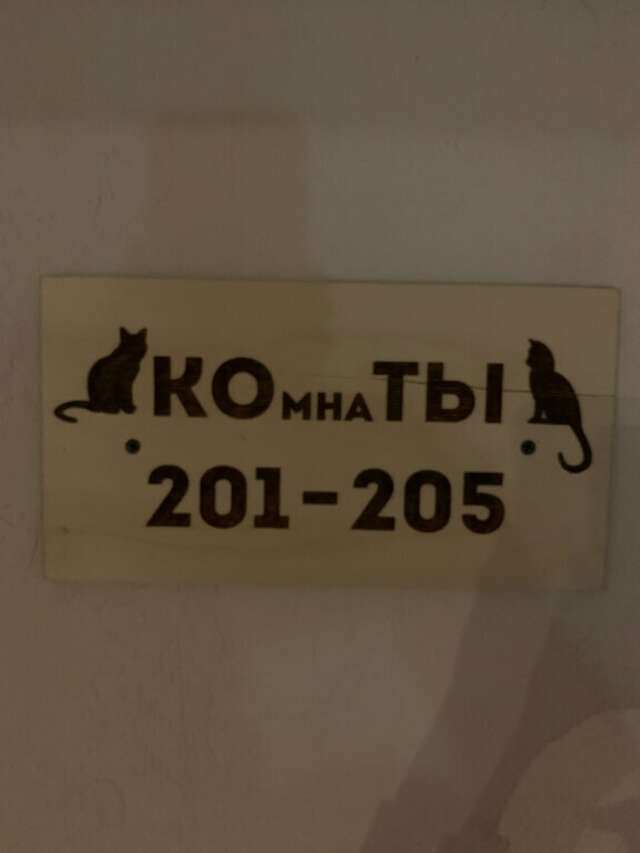 Гостевой дом Три кота Великий Новгород-245