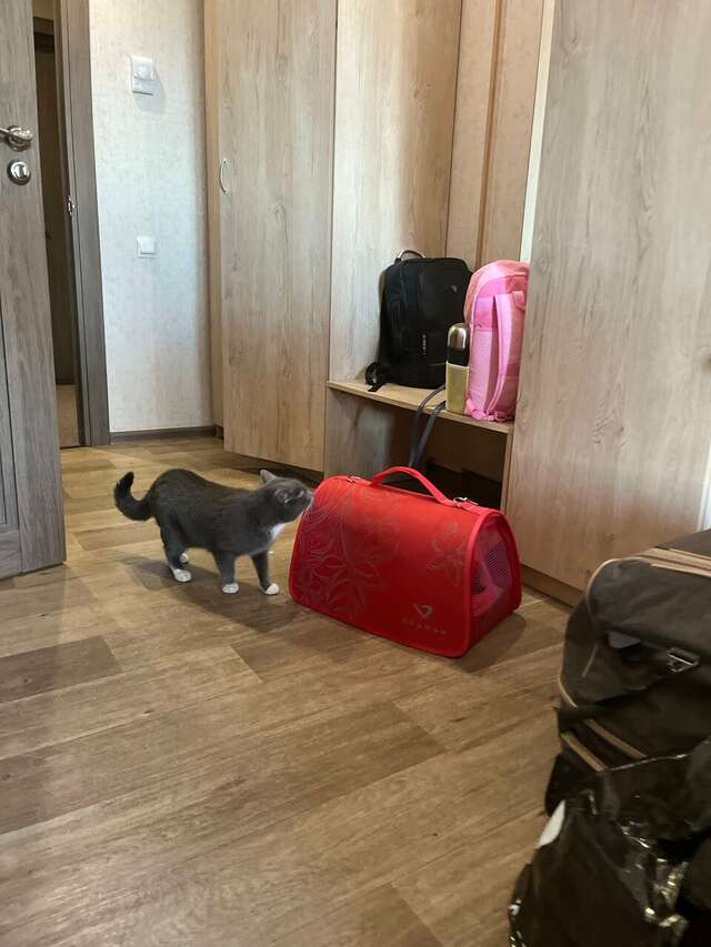 Гостевой дом Три кота Великий Новгород-222