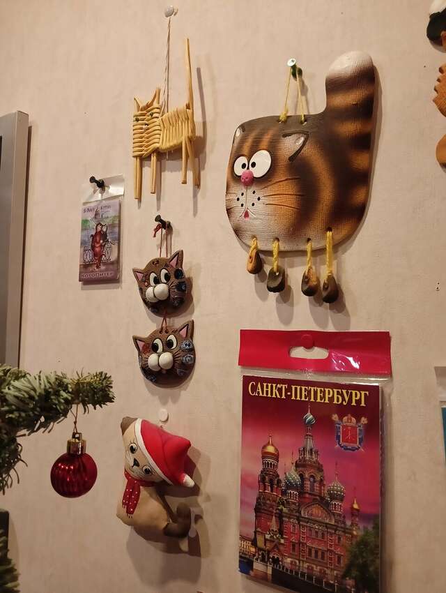 Гостевой дом Три кота Великий Новгород-160