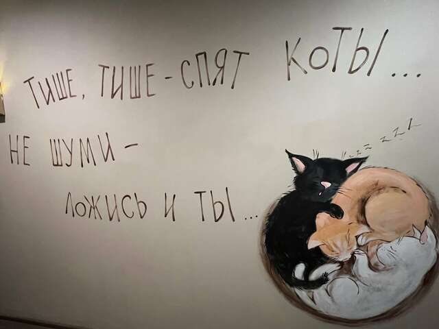Гостевой дом Три кота Великий Новгород-153