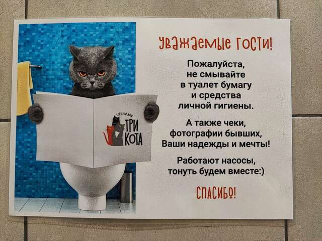 Гостевой дом Три кота Великий Новгород-97